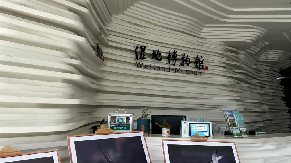 專(zhuān)注、專(zhuān)業(yè)、專(zhuān)心，閩江口濕地博物館項(xiàng)目施工